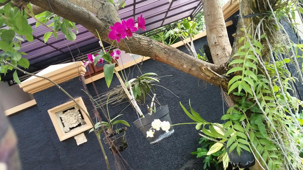 Roemah Canting Homestay Yogyakarta Kültér fotó