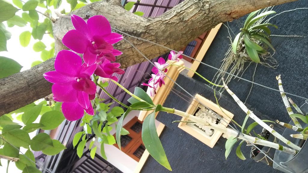 Roemah Canting Homestay Yogyakarta Kültér fotó